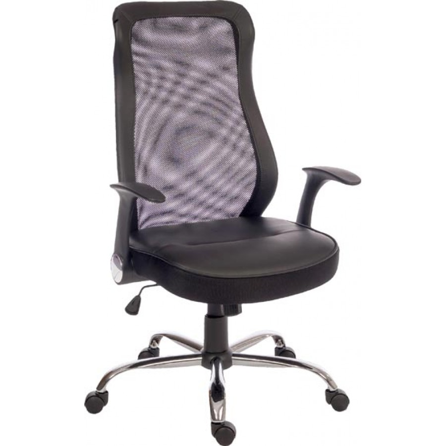 Curve Mesh Executive Office Chair